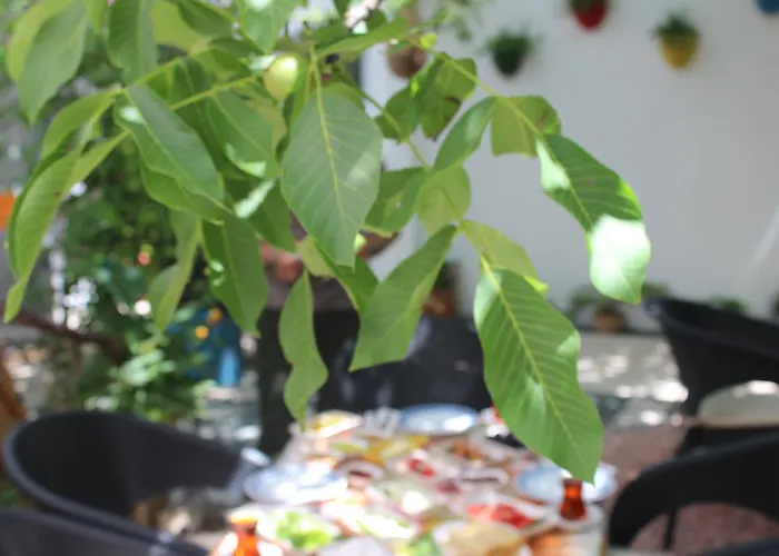 4 Element מלון *